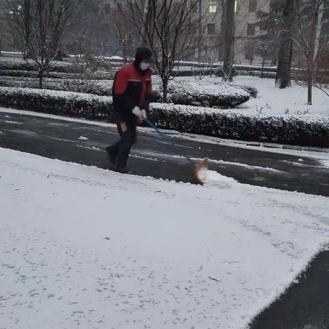 华川物业服务在路上，  以雪为令，闻雪而动！