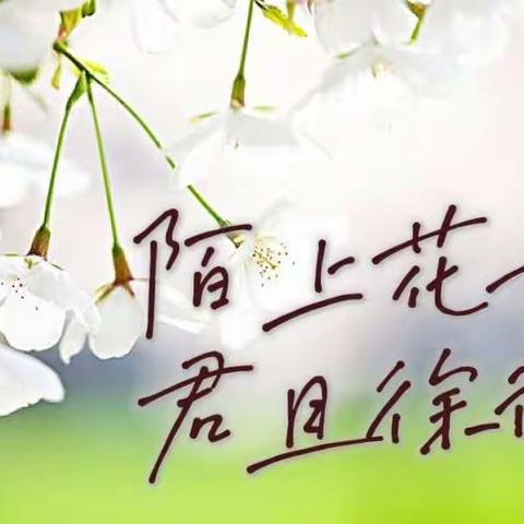 班级|陌上花开  君且徐行