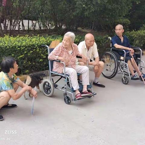 热情暑期，曹家堡社区日间照料中心养老早市更"热情"