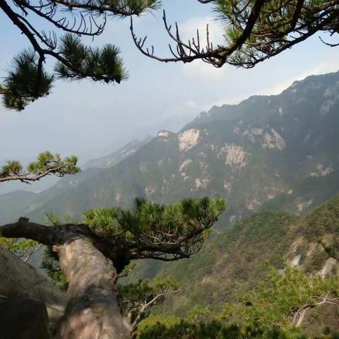 第—次制作