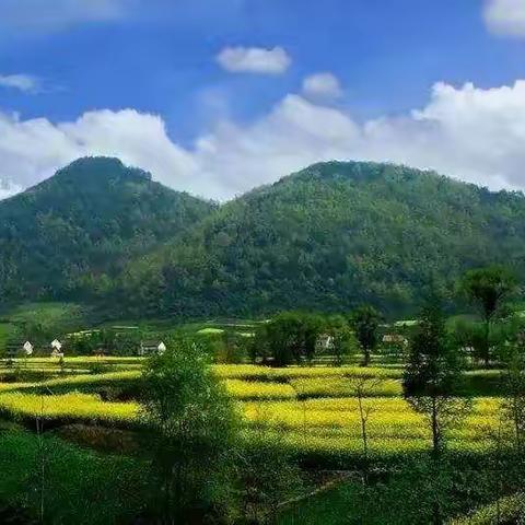 小河庙茶山游