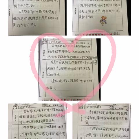 偃师实验小学 六五班 牛琛皓的美篇