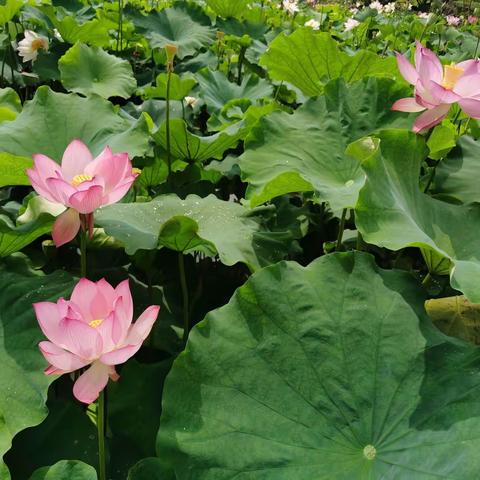 周末一起嗨嗨嗨