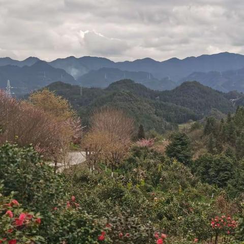 我镜头下的美女与鲜花