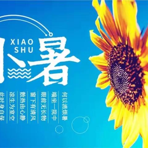 【弘扬传统文化   感知节气之美】二十四节气之小暑——淮阴实验小学幼儿园淮阴小学分园 中一班