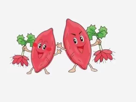 【清华名府幼儿园】中一班班本课程《我和番薯有个约会》