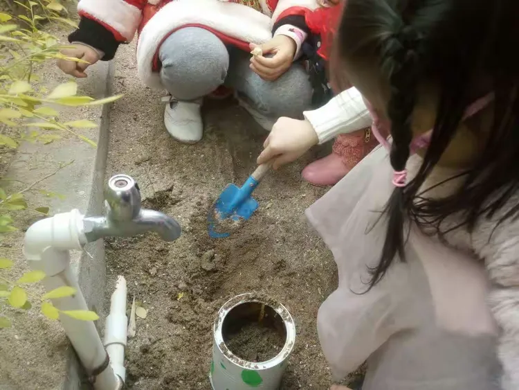 小小探索家——种植篇