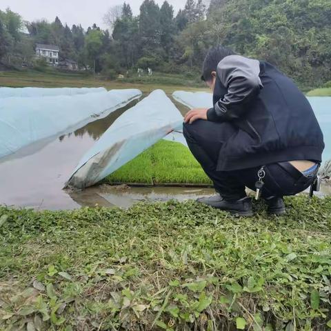 护航春耕生产，抓好安全宣传