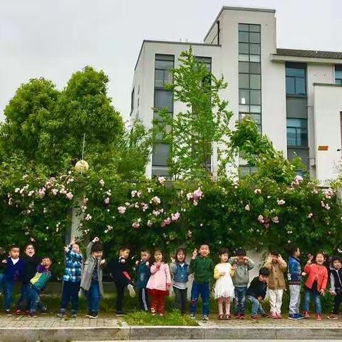 我是大班哥哥姐姐啦                   大4班