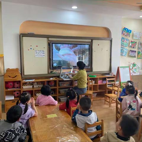 好吃的芹菜 中2班活动