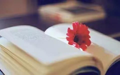 扬帆起步，谱写新章