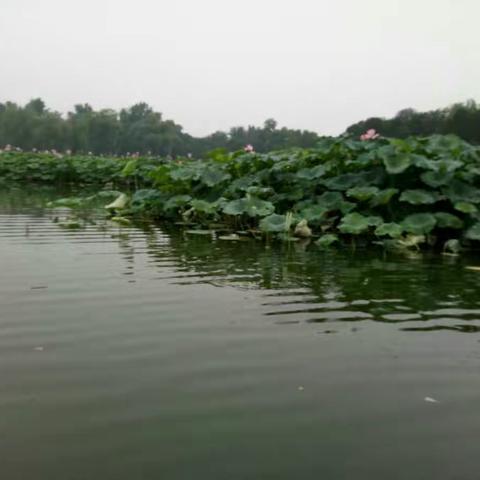 三年级数学组教研活动