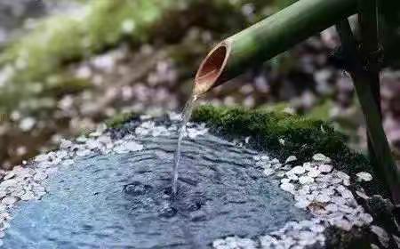 五年级数学组开学季之教研活动一