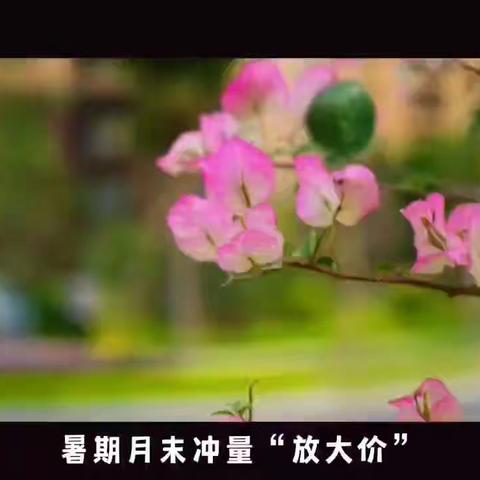 与你同行，一路芬芳