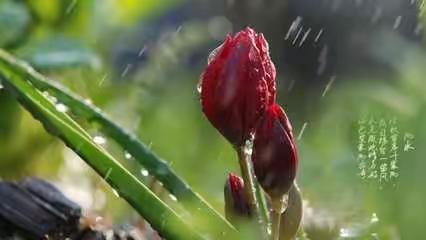 春风化雨润万物     正是教学研讨时——西街学校线上线下教学衔接工作研讨会