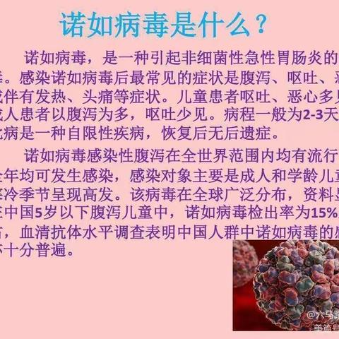 诺如病毒防范宣传活动课——称文镇中心幼儿园中二班