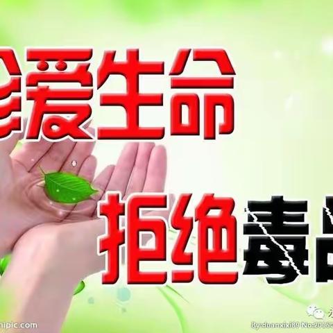 珍爱生命   远离毒品——兴县阳光小学“禁毒宣传活动”主题班会