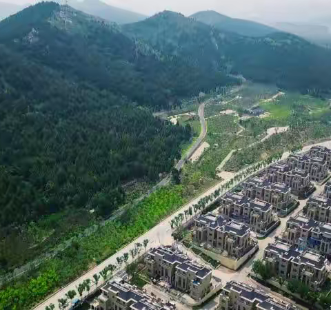 东部新区开展“百人七日，净园行动”