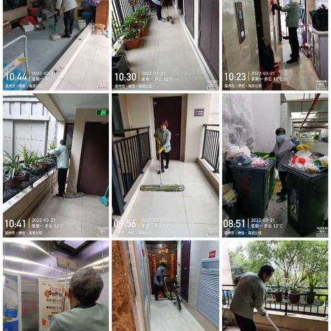 德信海派公馆物业服务中心月第3月月报