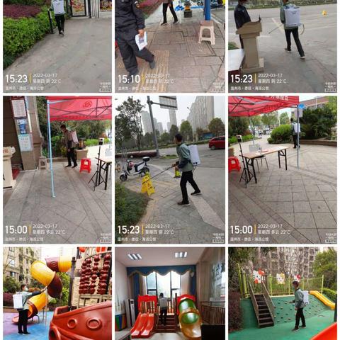 德信海派公馆物业服务中心3月第3周周报