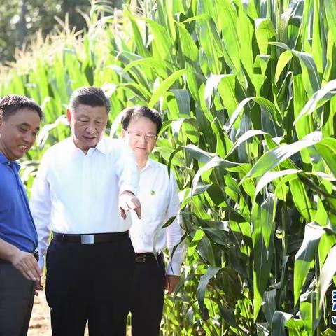 铁北二路小学党支部学习习近平总书记考察吉林重要讲话重要指示精神