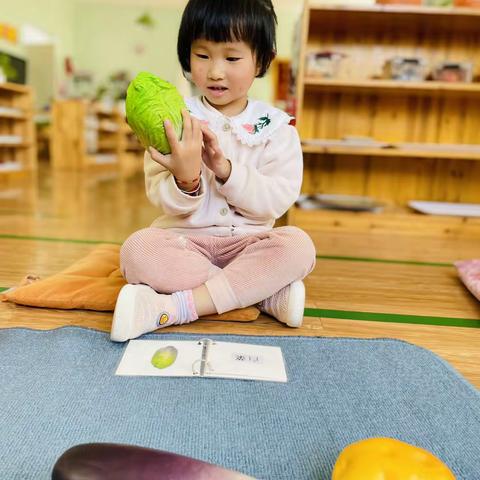 迎世艺术幼儿园蒙二班的小朋友们（快乐第四周）