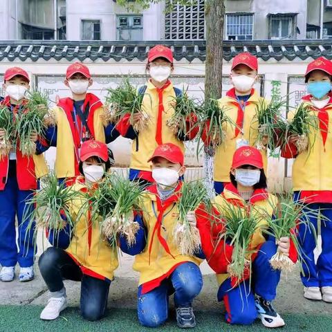 校园种植欢乐多 大蒜义卖真情暖 ——记怀化市实验小学红领巾种植基地大蒜采摘季义卖活动