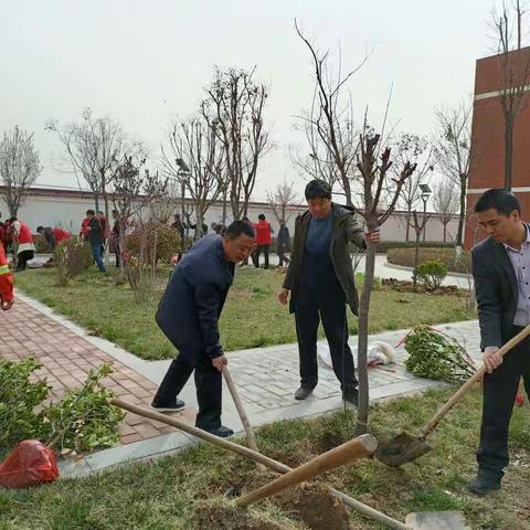 弘扬雷锋精神  共建绿色家园