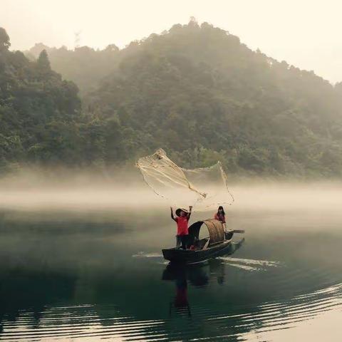 寻根溯源   源起源灭