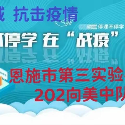 抗击疫情 你我同行——恩施市第三实验小学202向美中队疫情期间“停课不停学，不负好时光”纪实