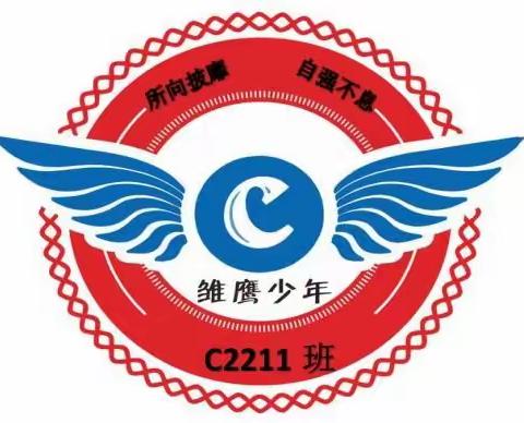 C2211雏鹰少年班   第三周