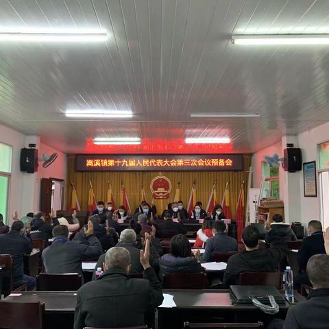 嵩溪镇第十九届人民代表大会第三次会议胜利召开