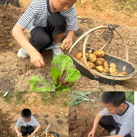 “悦”劳动 “悦”快乐