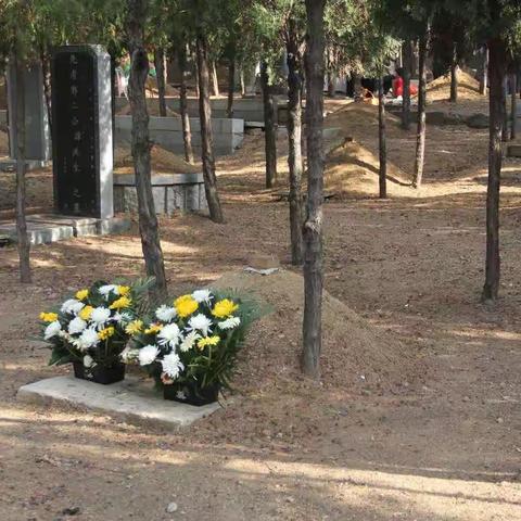 清明节更“清明”， 新甫社区倡导文明祭祀忆先人