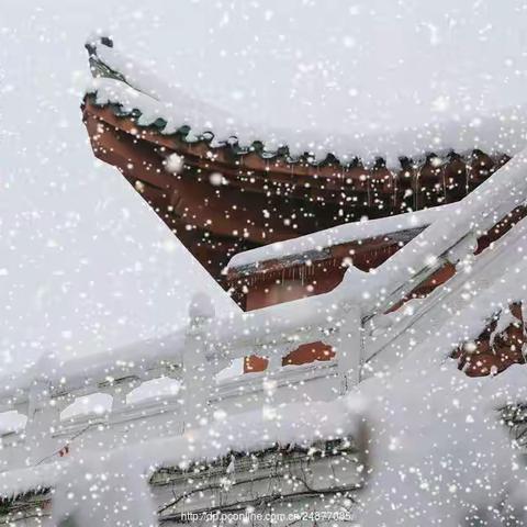 大雪至，寒冬始——乌市第四十四中学大雪节气宣讲