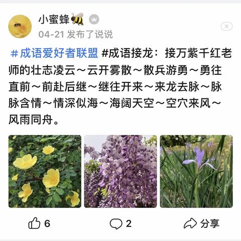 我的成语接龙
