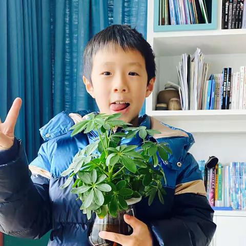 胡彦祖寒假生活总结