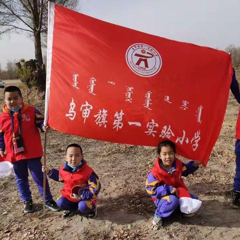 春暖花开，正是植树好季节🌴🌴迎着春风，我们去植绿护绿💕💕💕