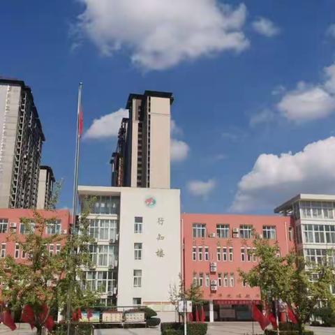 河师大附属洛阳中学12月份党员主题活动日纪实