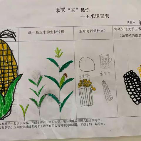 柳州市公园路幼儿园总部大四班课程故事——我在秋天“玉”见你