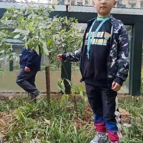 益阳市赫山区迎宾小学2106班植树节活动