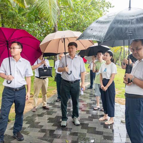 林有炽就三亚湾功能提升项目（二期）情况召开现场工作会