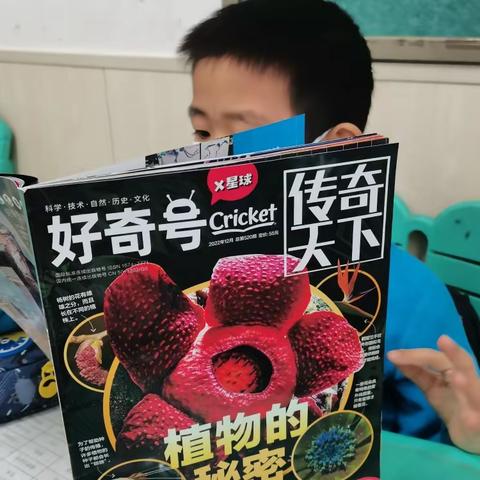 好书（刊）推荐