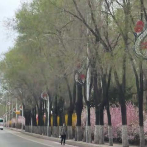 抚顺市聚沙社会工作服务中心送课进校园活动（一）