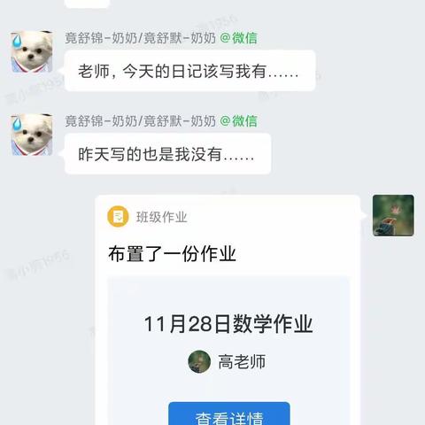 网课总结