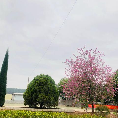 把握时间，争做学习小主人