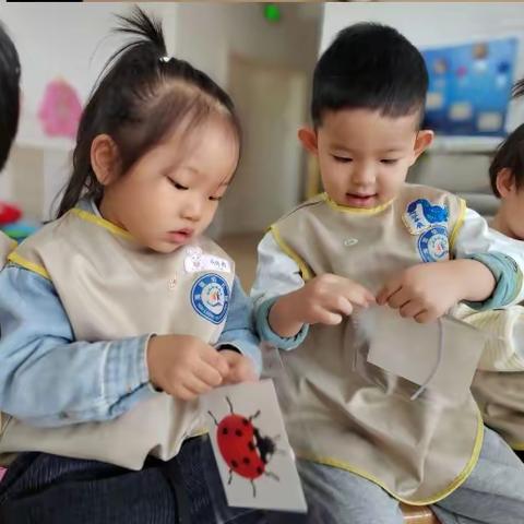 小一班音乐活动《顽皮的小瓢虫》