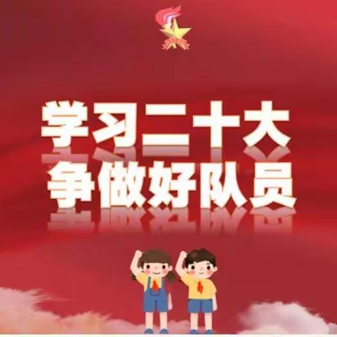 【队旗飘扬】学习二十大 争做好队员——红领巾寻访党的二十大代表