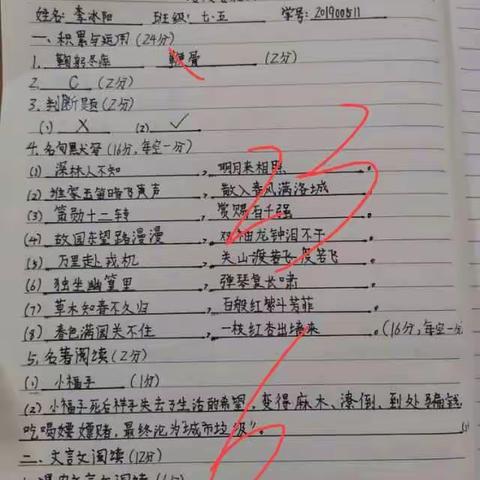 初一五班期中考试优秀试卷展