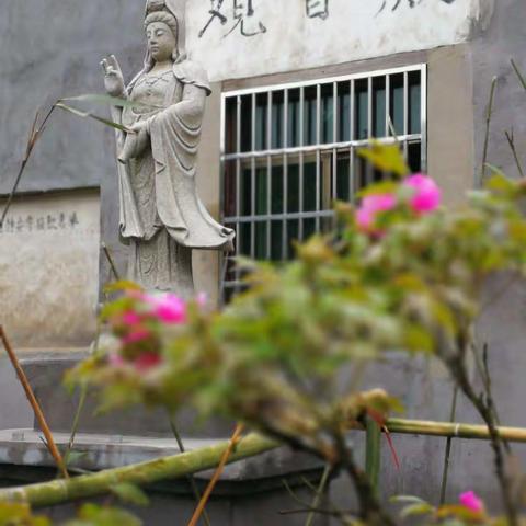 春花烂漫
